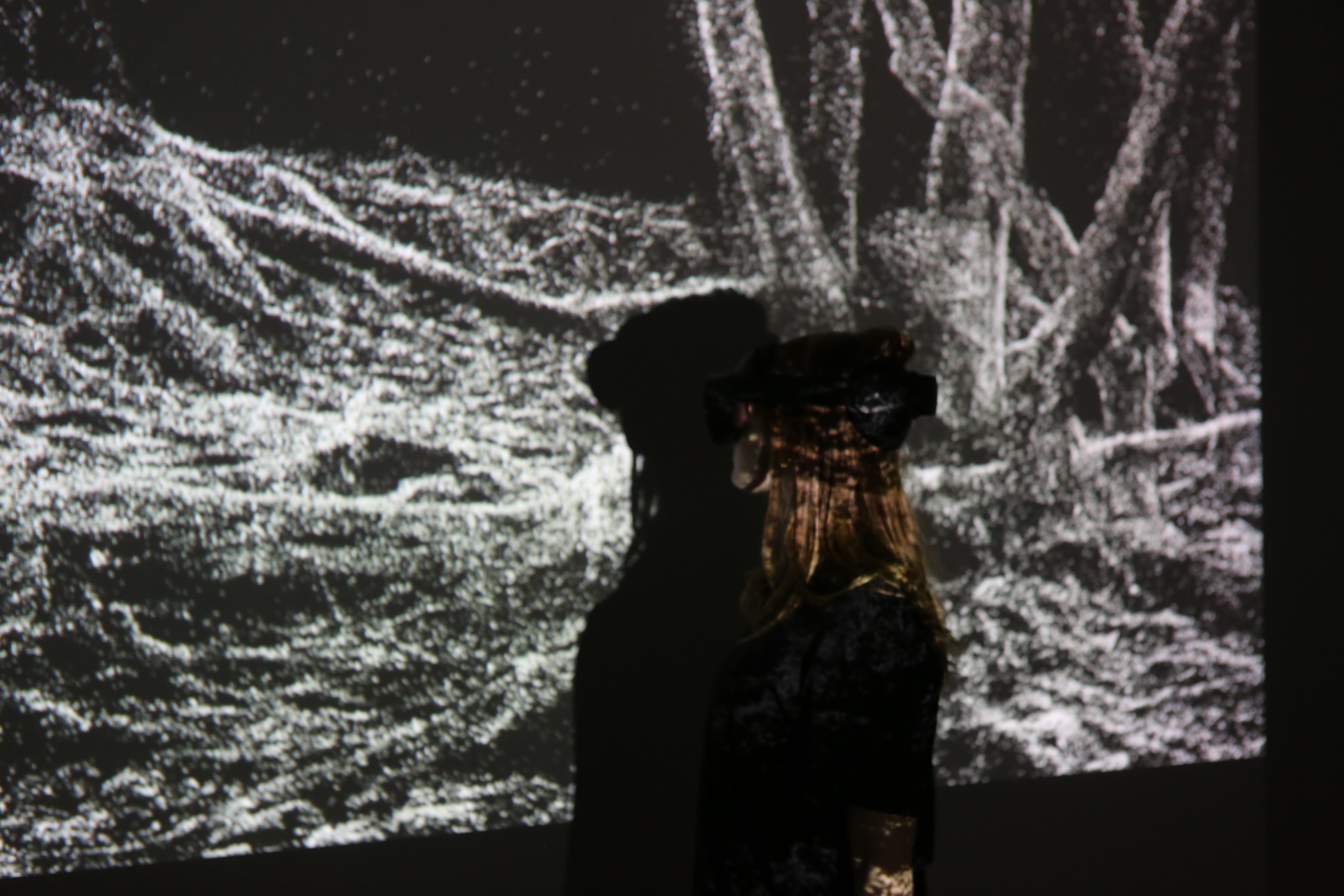 Environmental Amnesia Exhibition View 